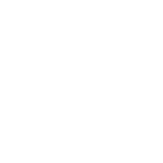 dribbble icon
