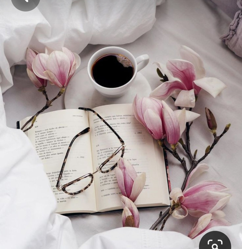 Screenshot_20230616_130345_Pinterest