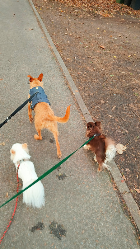 Lumii 20251202 155019763