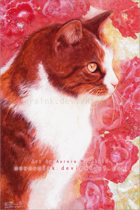 38-rose-garden-by-auroraink-d50ferl