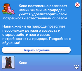 Screenshot-456.png