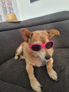 [Image: abb6ca0a-0467-4018-80b4-cfcc72181d0e.jpg]