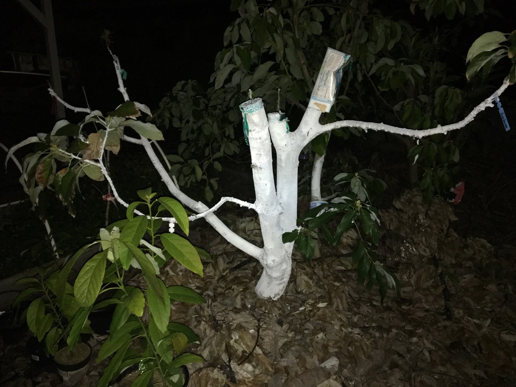 8C357603 265E 4537 AEFD 6B6A8D706FEA 1 105 c