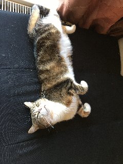 3066-B3-AE-1826-4561-A051-DF83468-EFF48.