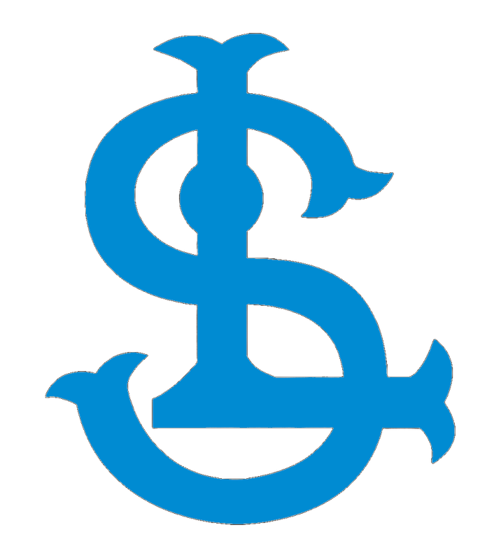 Samsung Lions Cap Logo1984to88 나무위키1989to94color