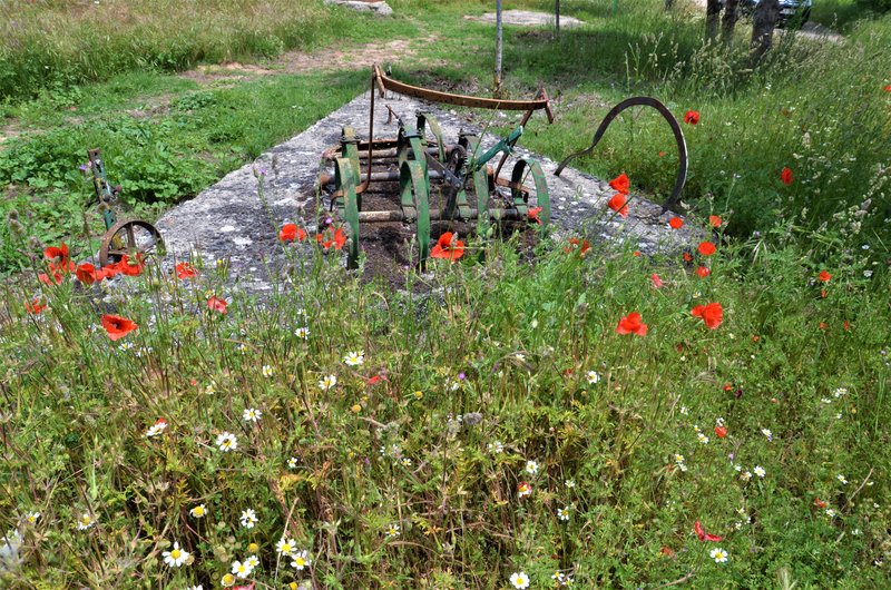 LOS BARRIOS DE BUREBA-23-6-2013-BURGOS - Paseando por España-1991/2016 (13)