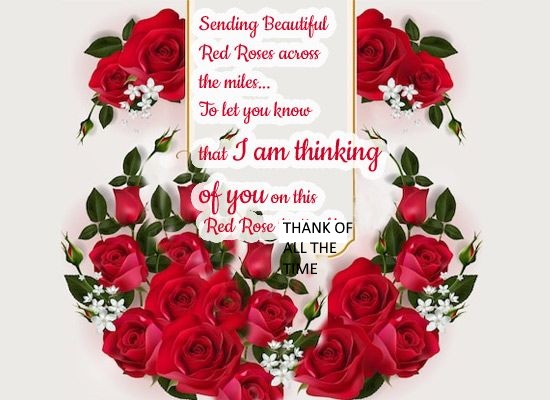 0b45f20baecc379c869409e3d2942f56