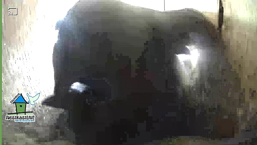 Screenshot 20260407 081515