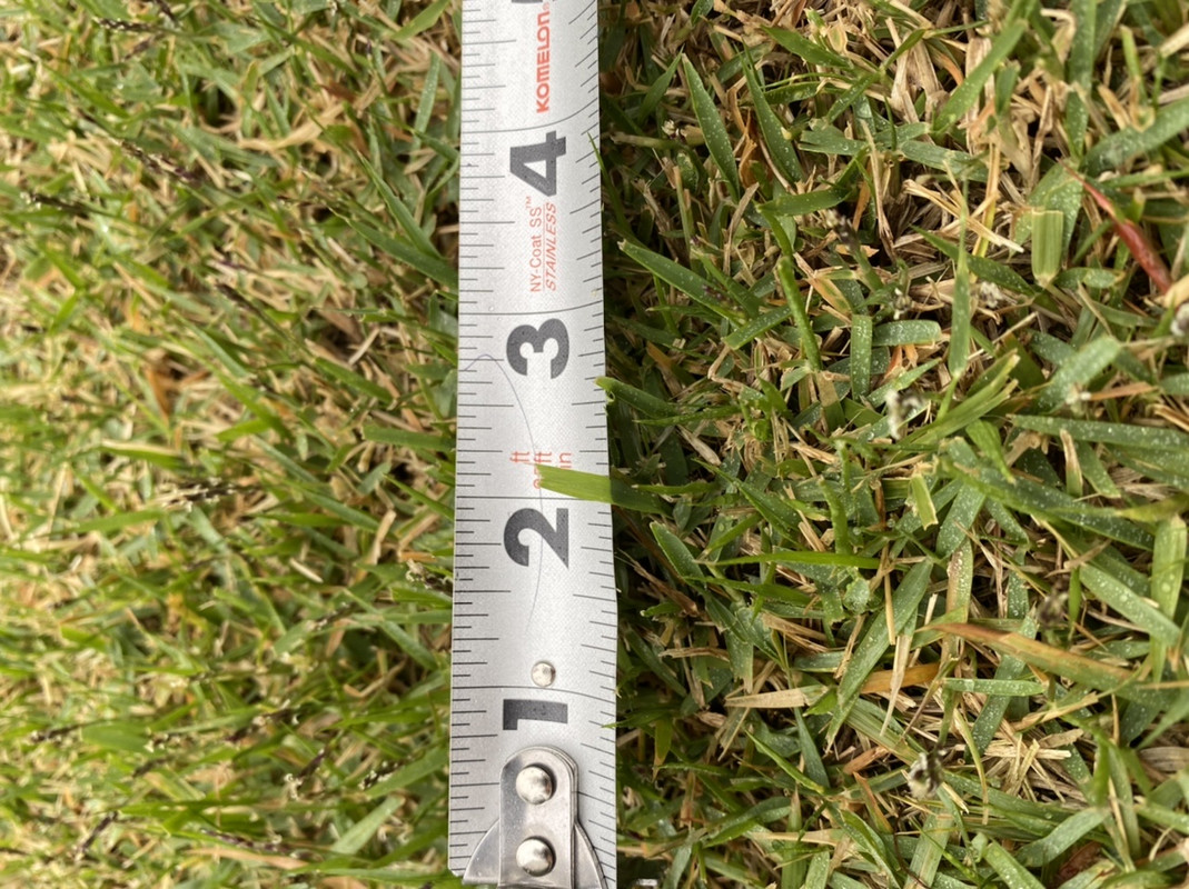 EB382301-6575-4B10-A846-5B405573111F