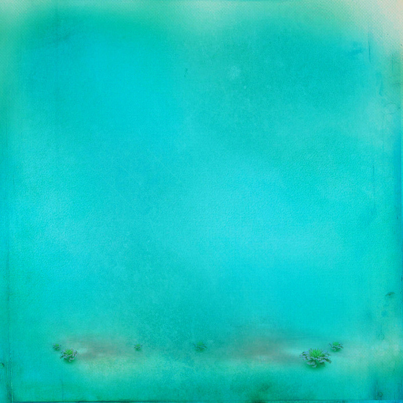 BIBI-UNDER THE SEA PAPERS (1)