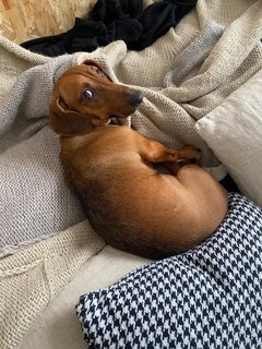 [Image: 8-DF9-E07-E-8122-4-E71-8-AF9-722286-AB5320.jpg]