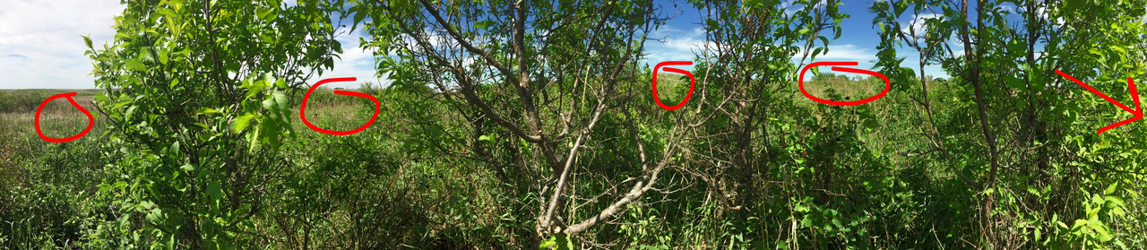 D6843621-A9A7-48D8-BAB4-3342A5C669C7