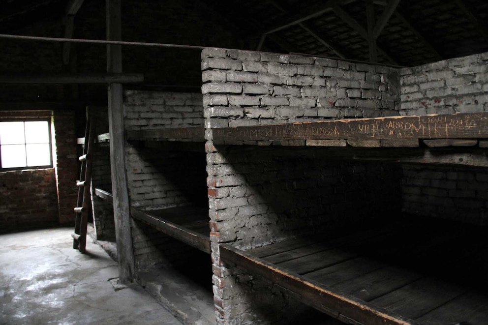 Mi familia -bisabuelos y abuelos- vivía a dos kilómetros del campo base y ayudaba a los prisioneros. Sobre todo les daban comida, porque mi abuela recuerda que se los trataba muy mal y que pasaban muchísima hambre, dice Agnieszcka. Foto Juan Berretta