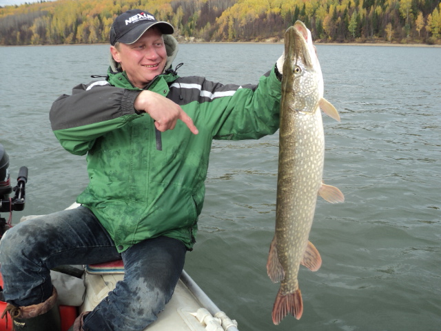 6 3 джиг спиннинг катушка судак щука окунь приманка мастер-класс Куляпин Андрей