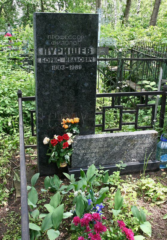 purishev-bi