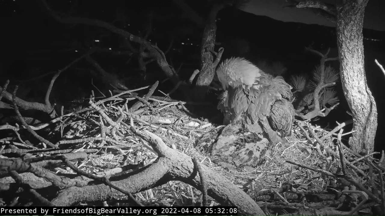 Webp.net-gifmaker (2)