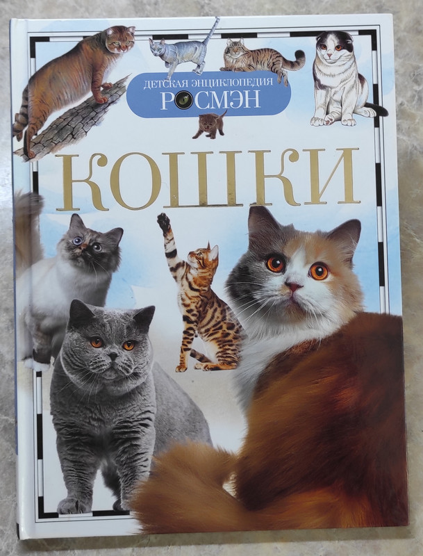 кошки