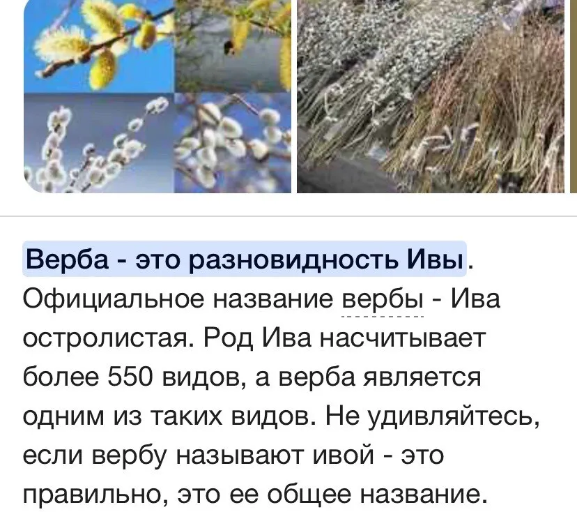 g-w-b-bp-webp-webp-webp-webp-b-b-webp-b-b-webp-webp