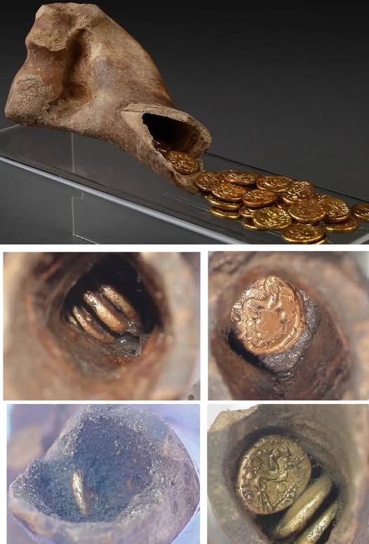 647142297 25976397725356884 3980309400369557610 n