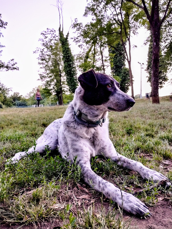 IMG_20220627_210305713_HDR~2