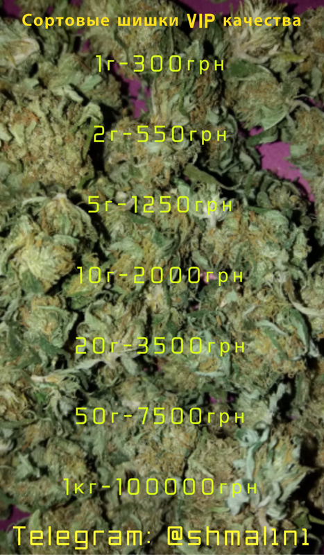 9469-BF36-203-F-4805-9083-5225837-A071-E.png