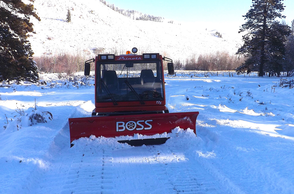 BOSS 1