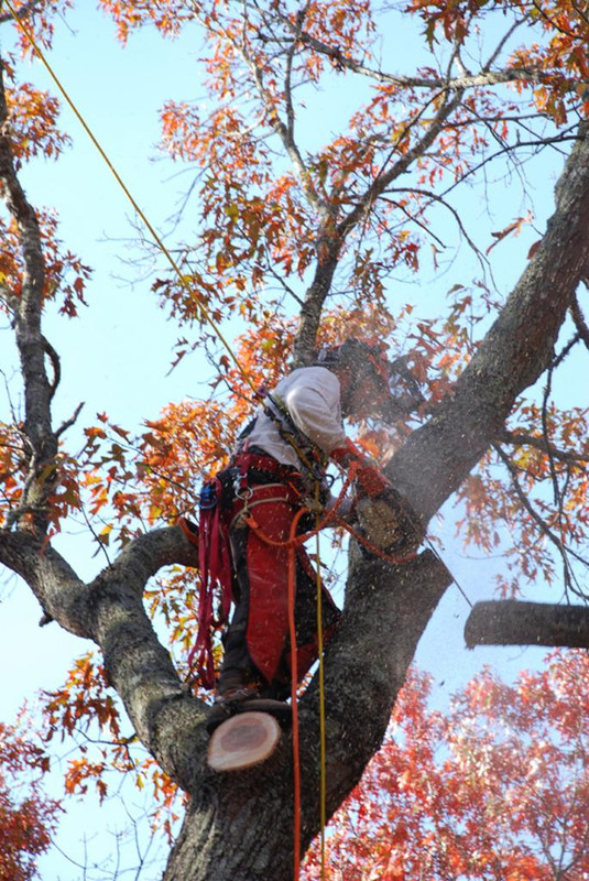 DSC_0812small-20161127-185015552