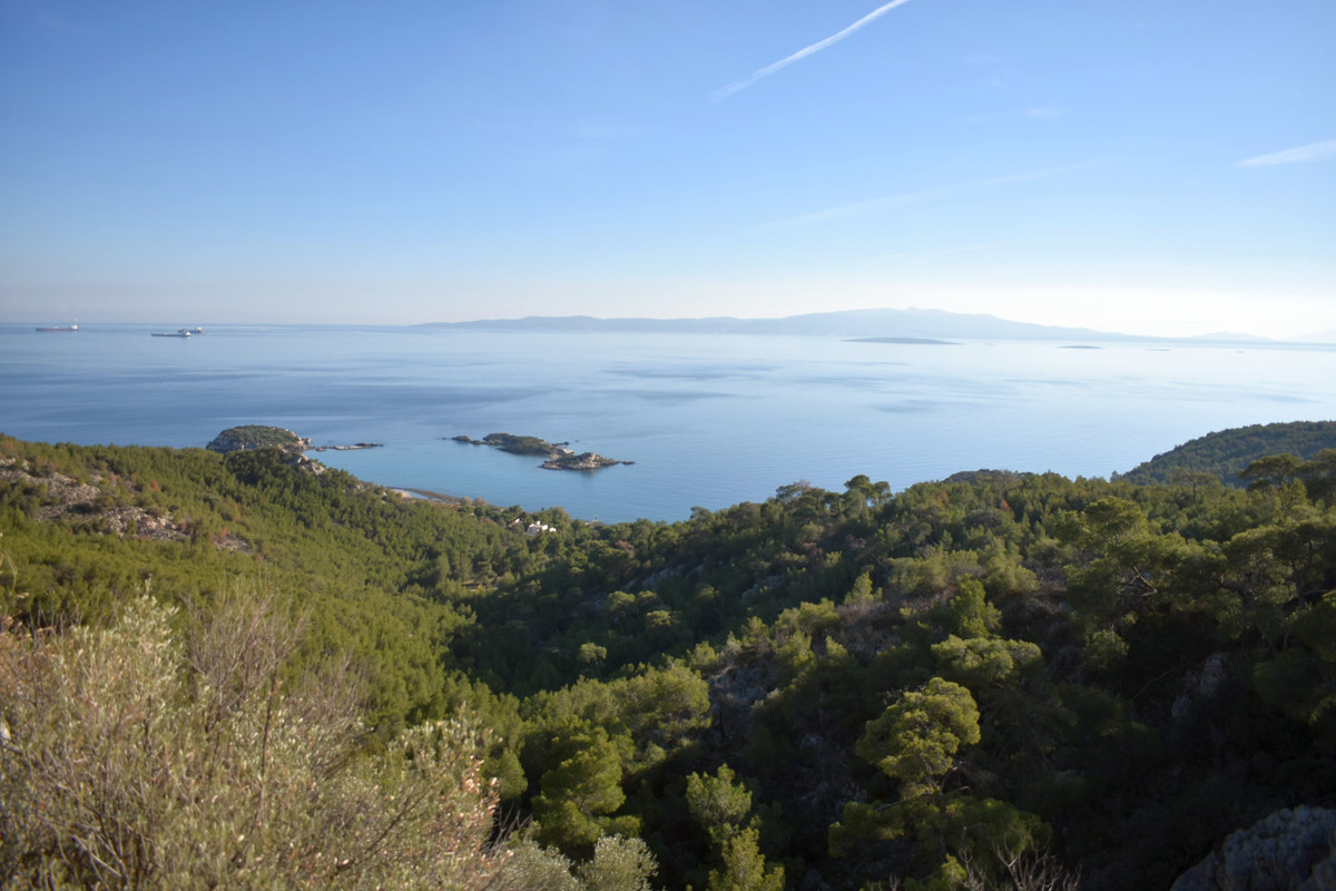 Περιστέρια (1)