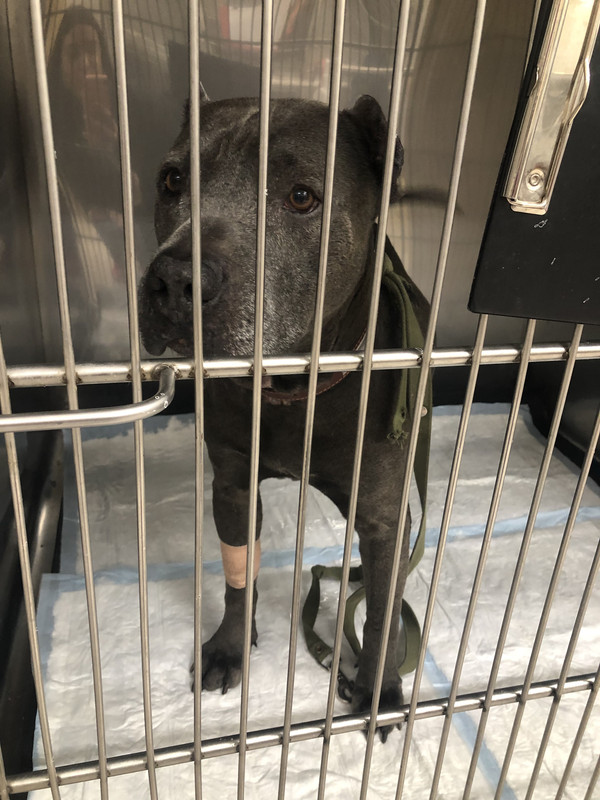 671BB78F-B141-4DA1-A605-AE20796DFEBE