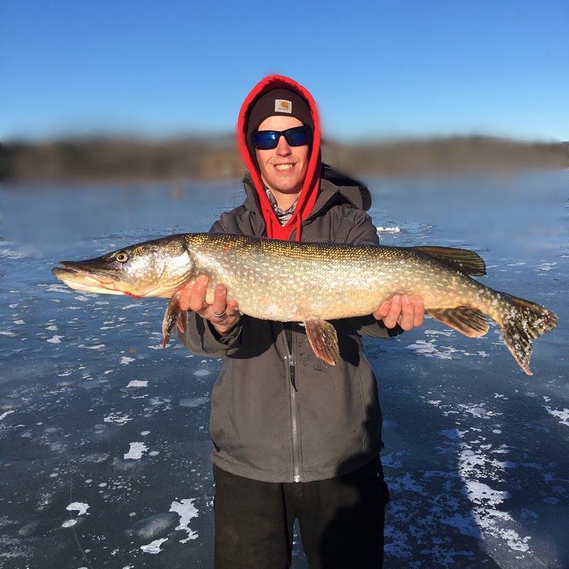 pike2