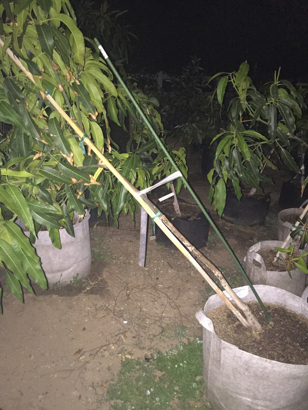 B3E7E0E9-81F8-46C7-A213-B456F53ACA9D