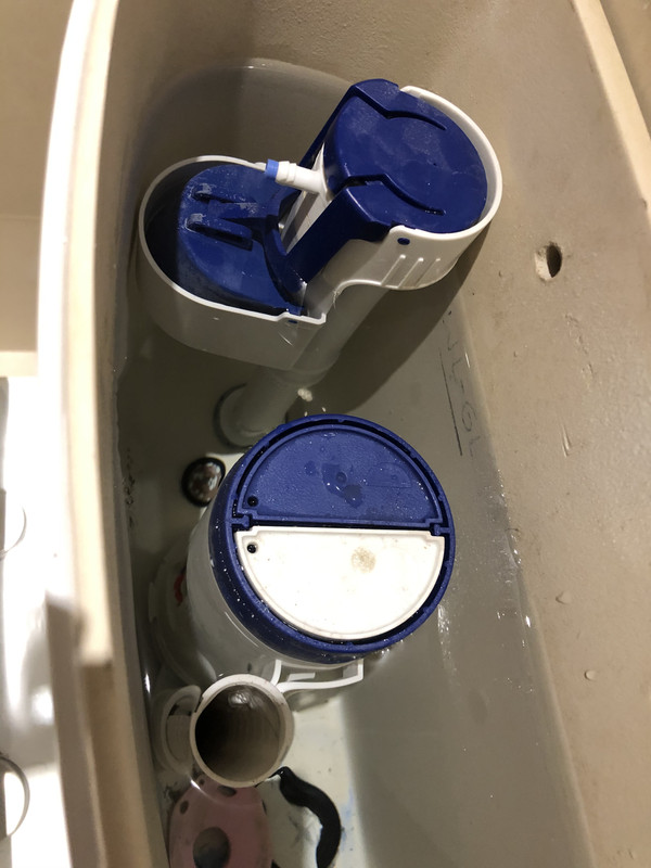 00CDEE44-D46C-4641-B4A6-BBAD9B729DD9