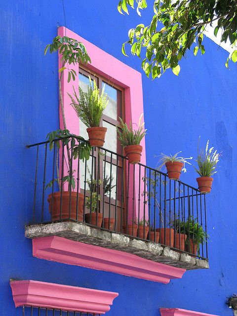 pink-window-new.jpg