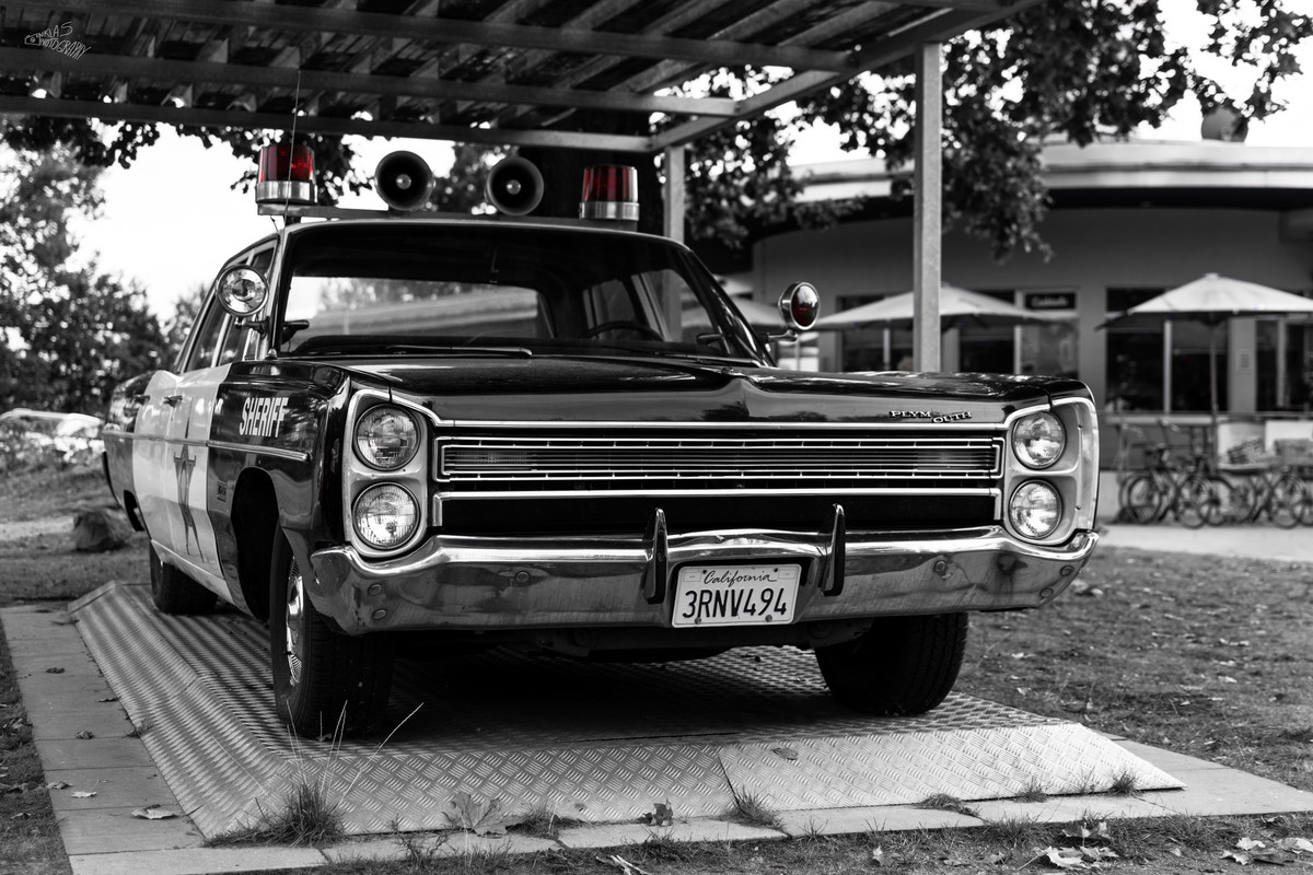DSC_6994 1968 Plymouth Fury