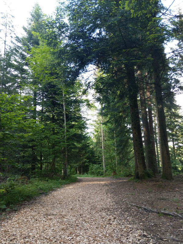 94EB5BD3-C7E4-41BA-B47F-EB33A87B28DB