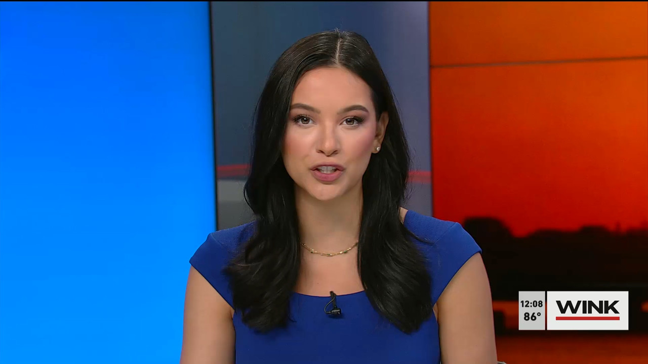 03.03 - 17.00.00 - The WINK Noon News  ᴺᵉʷ. Midday news update..ts_snapshot_14.13.730