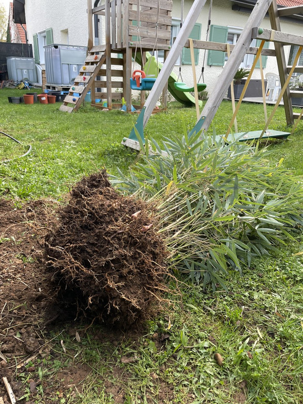 1F5088D7-42C3-4FA0-8C1F-21CD7D0D1E8A