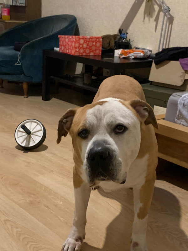 7AA5406C-691E-448B-8E1D-3AF123A03D68