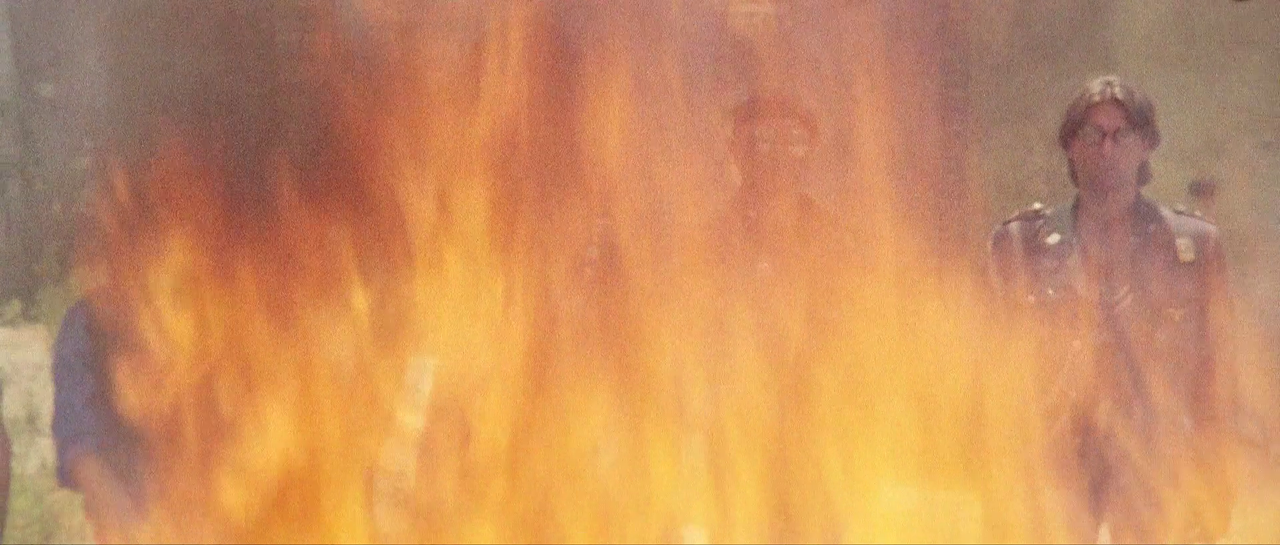 vlcsnap-2024-03-09-11h30m27s973