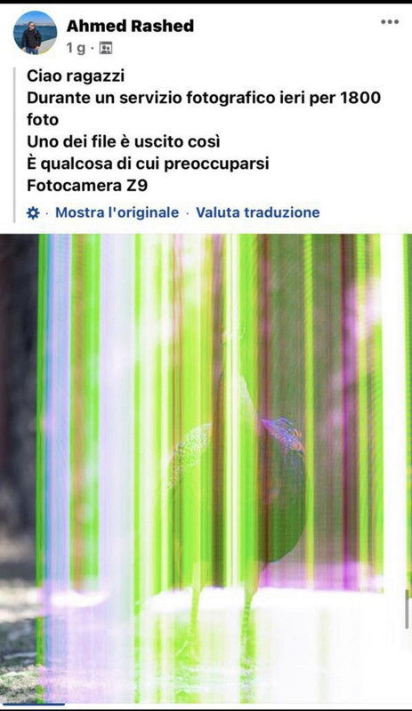 63E43BA1-1350-43D4-80A3-D0338B9D1EC2