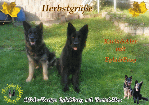 Herbstgrusse-GB-21-11-2025