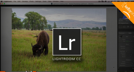 Lightroom Classic In Depth: Editing Your Photos