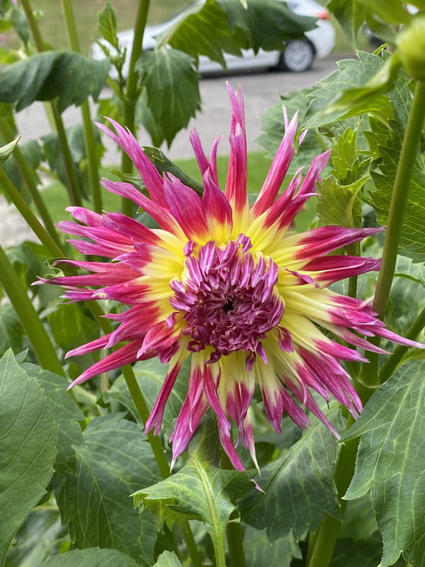 00377CBC-A5EF-41B7-BF66-AAE56CD09B36