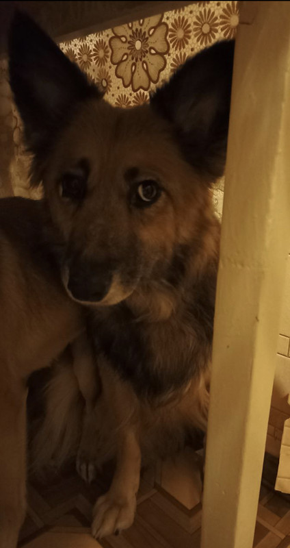 74DDC552-F6D4-4E2A-8D6C-87559232099F