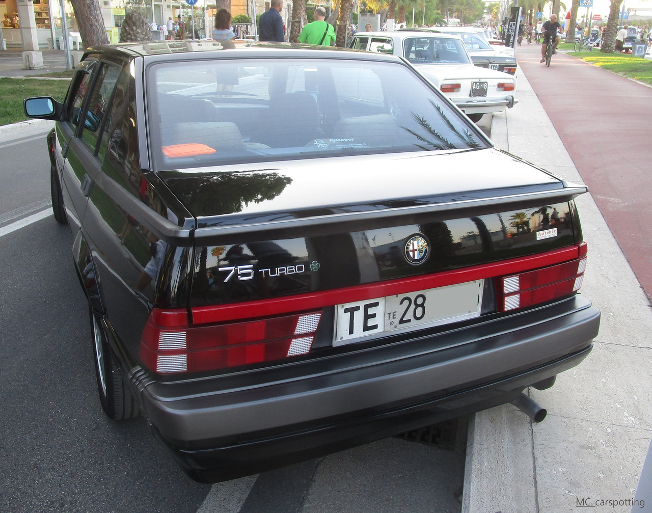IMG-9028.jpg