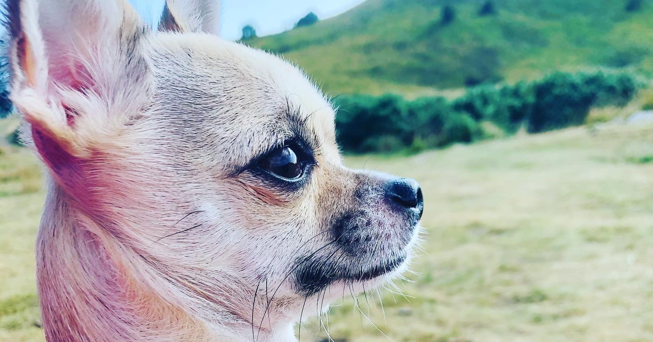 5073FDF6-9369-47F4-BE4F-3733195D6E66