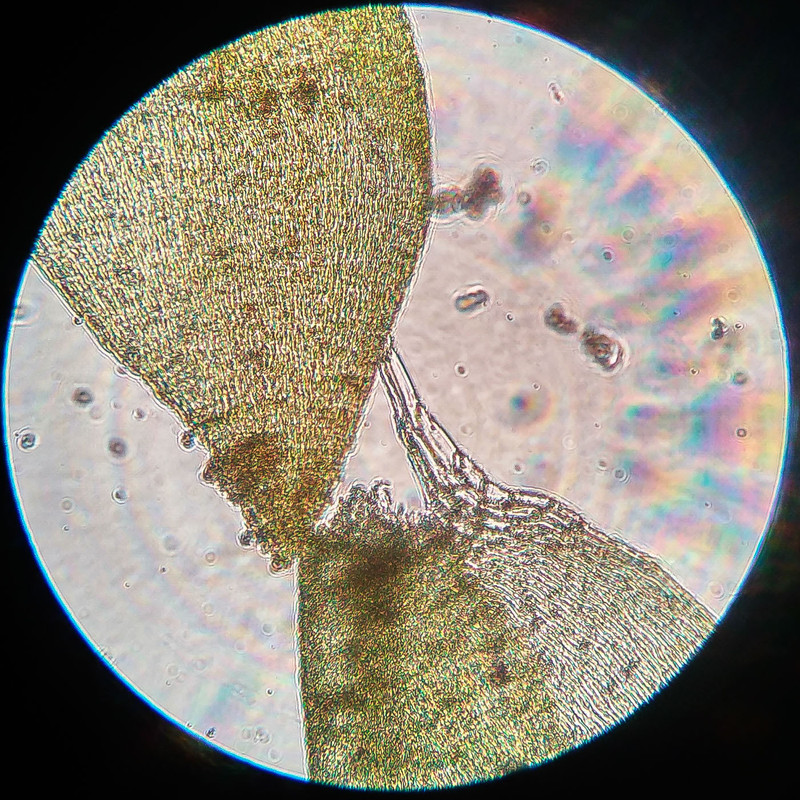 IMG 20250616 220129 HDR