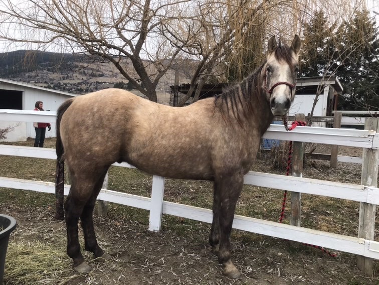 968C9E5F-92B3-4062-90C3-E0975BDEBAD9