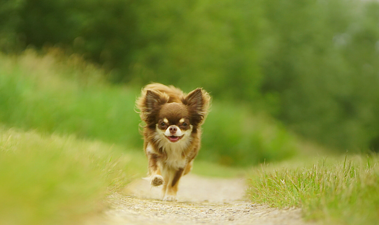 Lumii_20210605_150259379