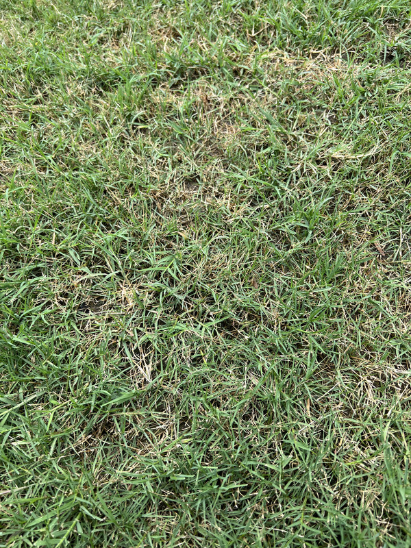 DD59B90F-007A-48ED-8903-D094455857E9